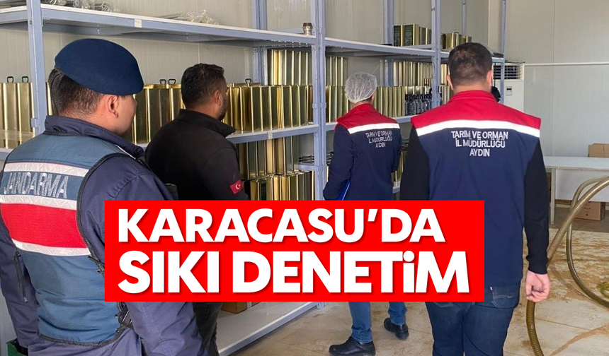 Karacasu'da sıkı denetim