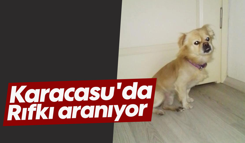 Karacasu'da Rıfkı aranıyor