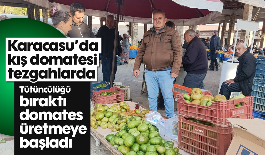 Karacasu'da kış domatesi tezgahlarda