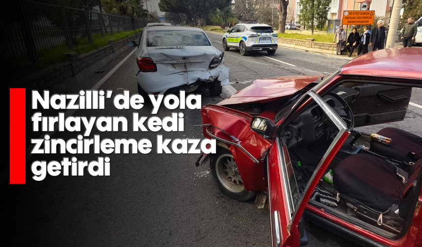 Nazilli'de yola fırlayan kedi zincirleme kaza getirdi