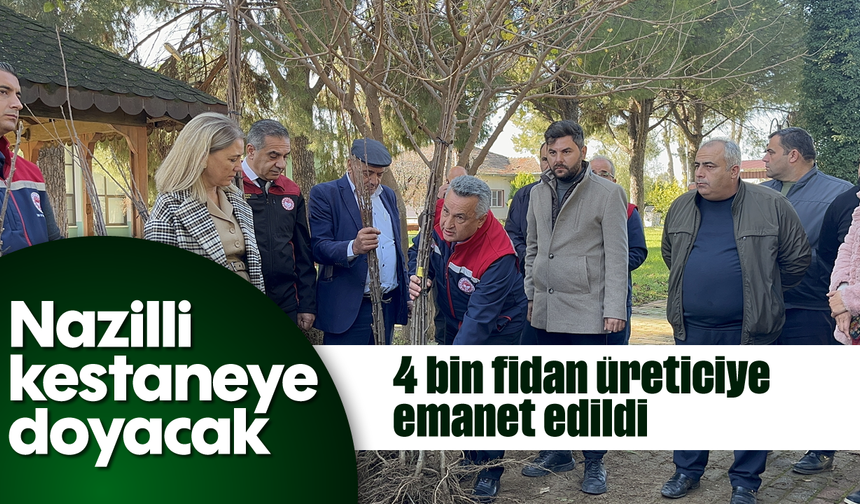 Nazilli kestaneye doyacak: 4 bin fidan üreticiye emanet edildi