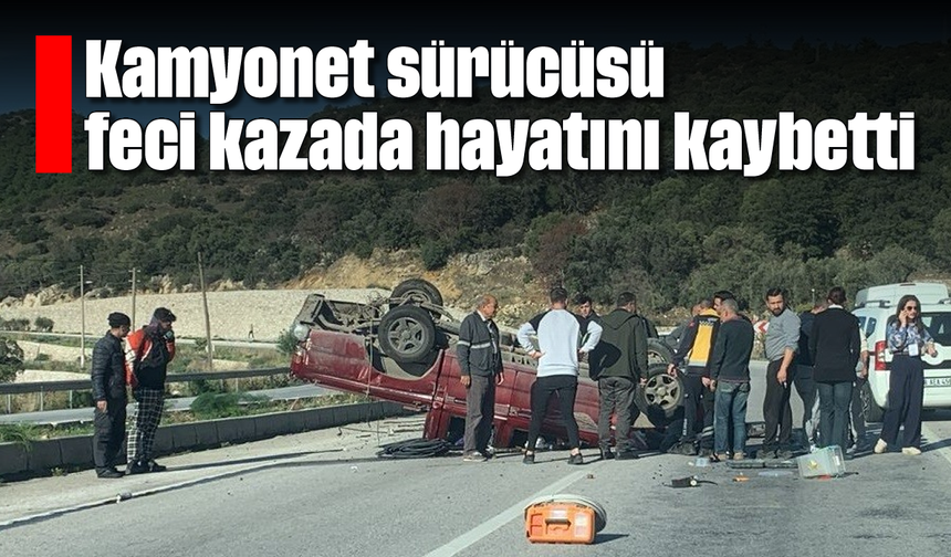 Kamyonet sürücüsü feci kazada hayatını kaybetti