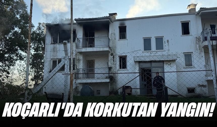 Koçarlı'da korkutan yangın!