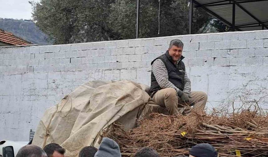 Köşk’te köklü kestane fidanları üreticilere dağıtıldı
