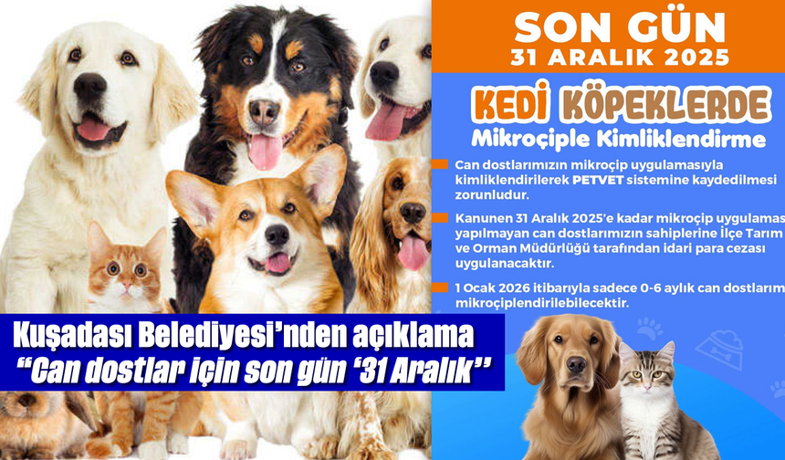 Kuşadası Belediyesi'nden açıklama; ''Can dostlar için son gün '31 Aralık''