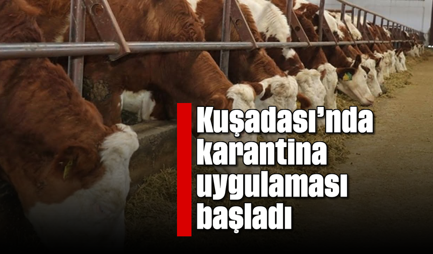 Kuşadası'nda karantina uygulaması başladı