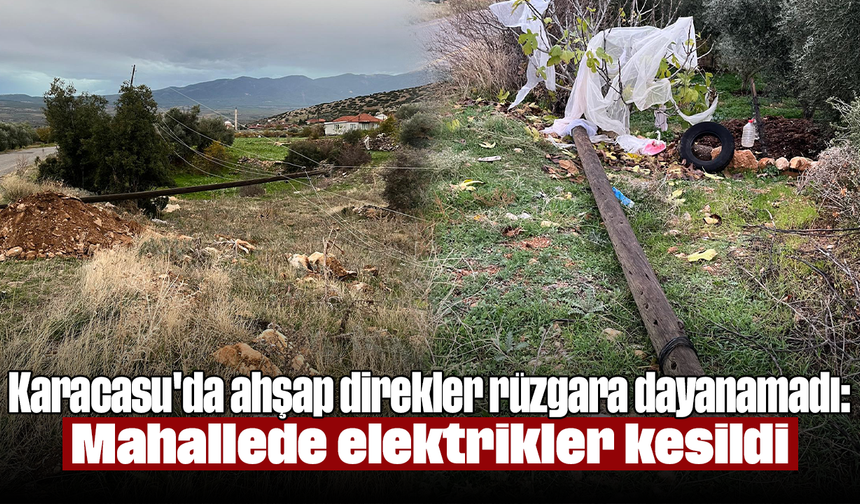 Karacasu'da ahşap direkler rüzgara dayanamadı: Mahallede elektrikler kesildi