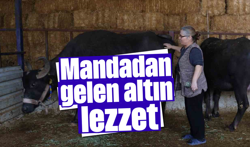 Mandadan gelen altın lezzet