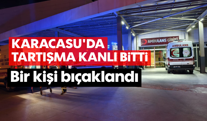 Karacasu'da tartışma kanlı bitti