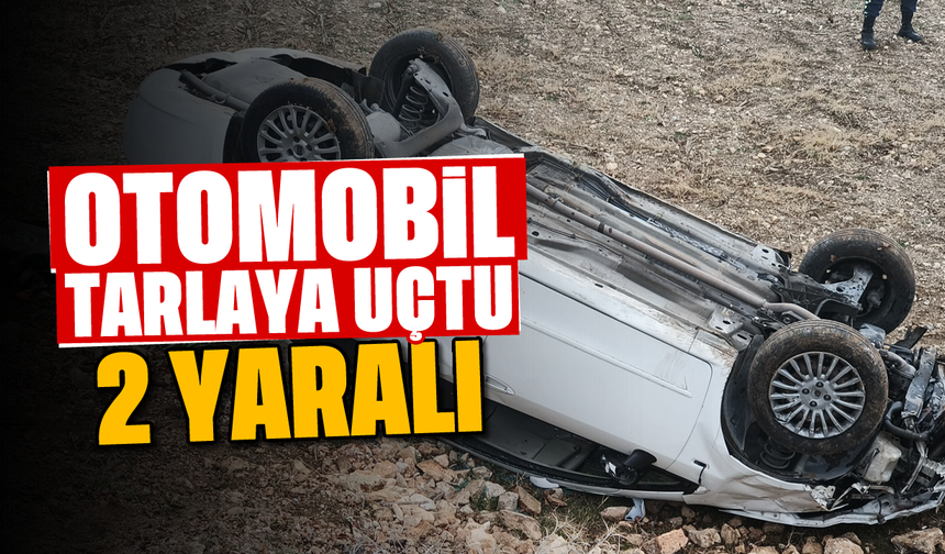 Otomobil tarlaya uçtu; 2 yaralı