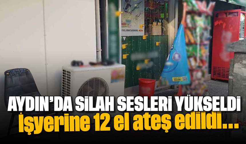Aydın'da silah sesleri yükseldi: İşyerine 12 el ateş edildi