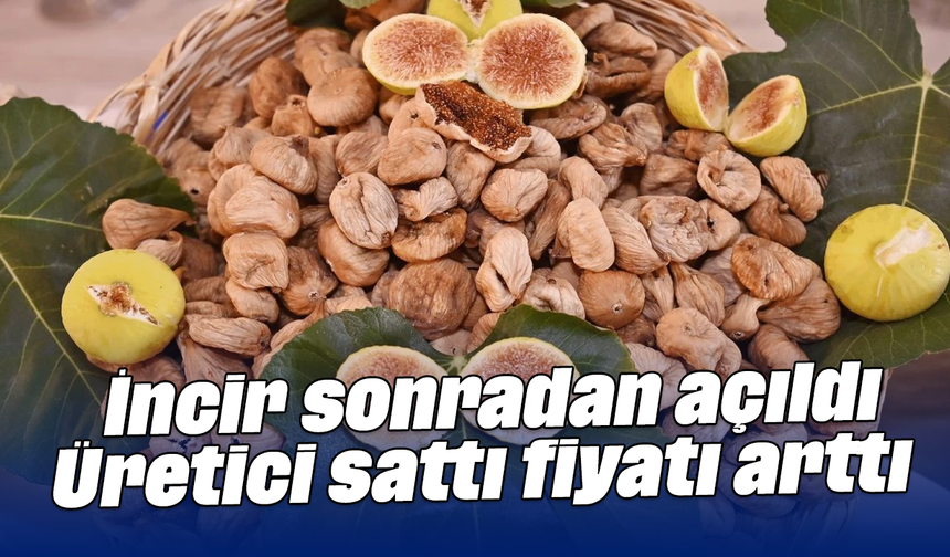 İncir sonradan açıldı: Üretici sattı, fiyatı arttı