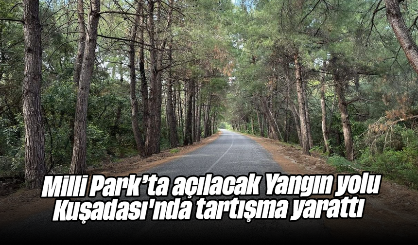 Milli Park’ta açılacak 'Yangın yolu' Kuşadası'nda tartışma yarattı
