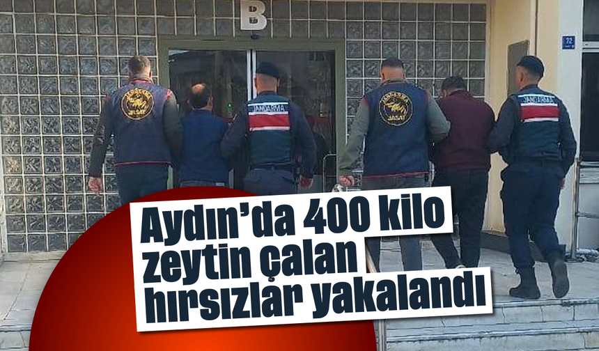 Aydın'da 400 kilo zeytin çalan hırsızlar yakalandı