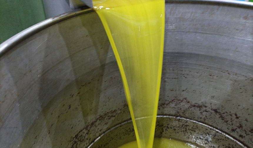 Zeytinyağının maliyeti arttı, fiyatı düştü