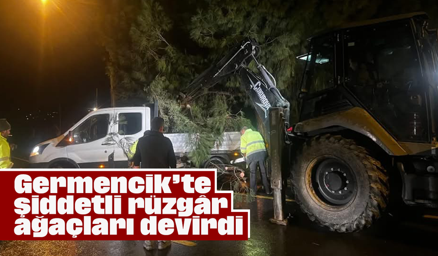 Germencik’te şiddetli rüzgâr ağaçları devirdi