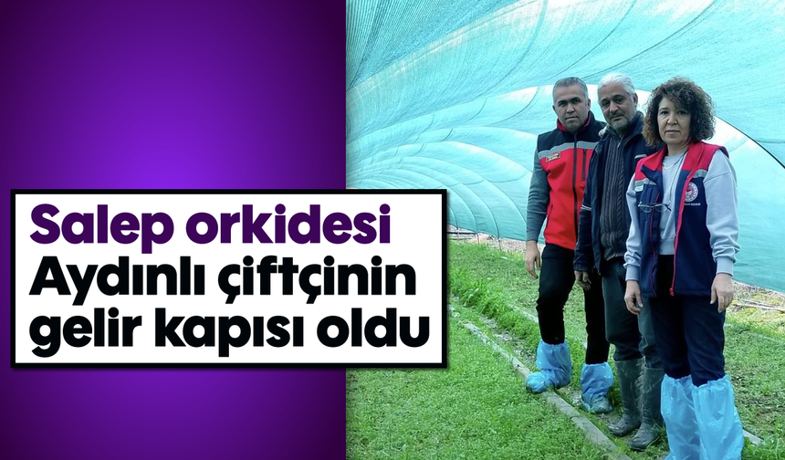 Salep orkidesi Aydınlı çiftçinin gelir kapısı oldu