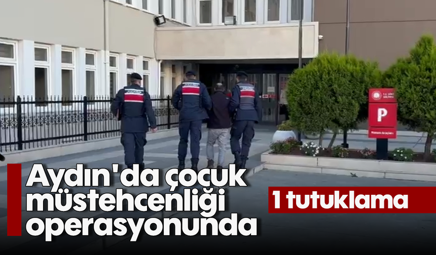 Aydın'da çocuk müstehcenliği operasyonunda 1 tutuklama