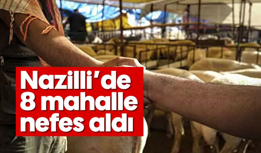 Nazilli'de 8 mahalle nefes aldı