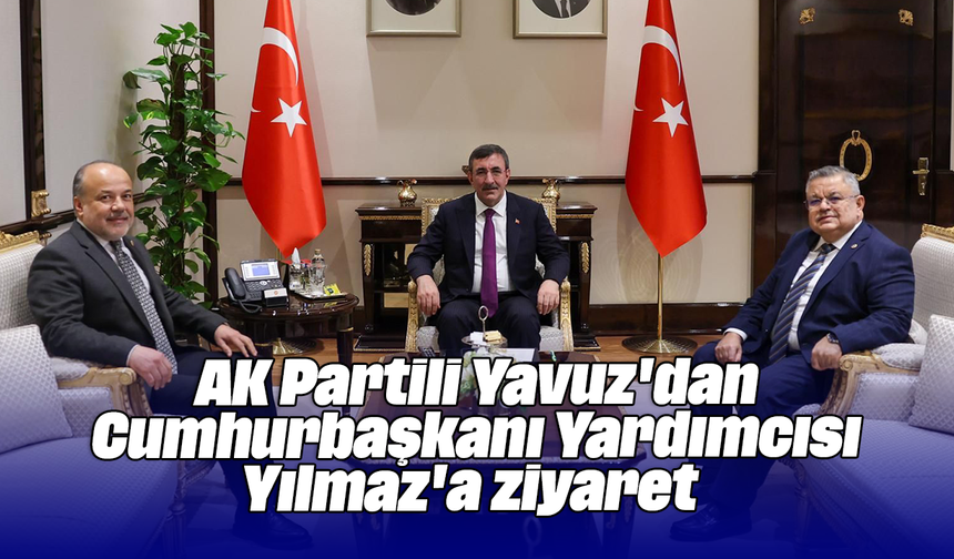 AK Partili Yavuz'dan Cumhurbaşkanı Yardımcısı Yılmaz'a ziyaret
