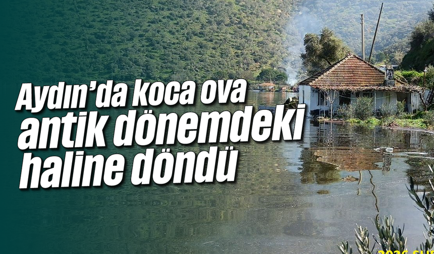 Aydın'da koca ova antik dönemdeki haline döndü