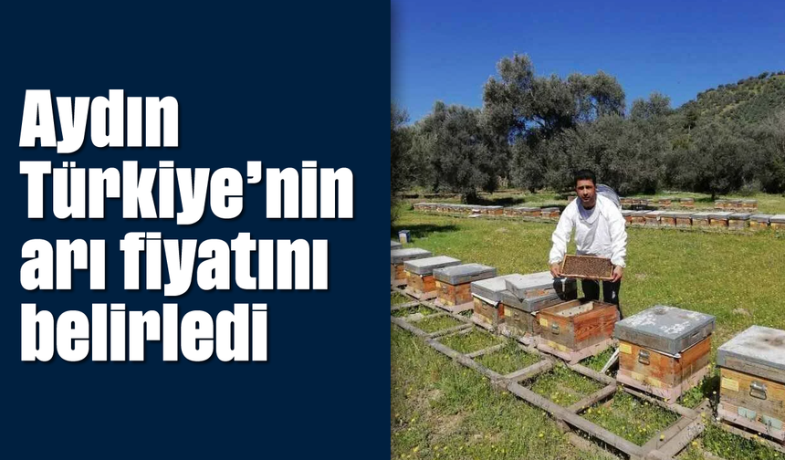 Aydın, Türkiye'nin arı fiyatını belirledi