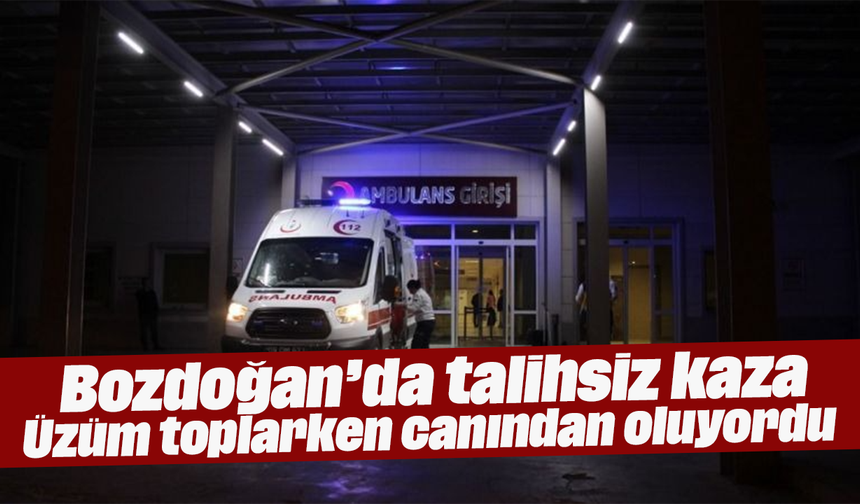 Bozdoğan’da talihsiz kaza: Üzüm toplarken canından oluyordu