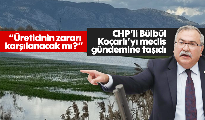 CHP’li Bülbül, Koçarlı’yı meclis gündemine taşıdı