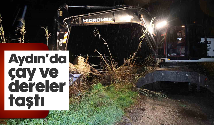Aydın'da çay ve dereler taştı