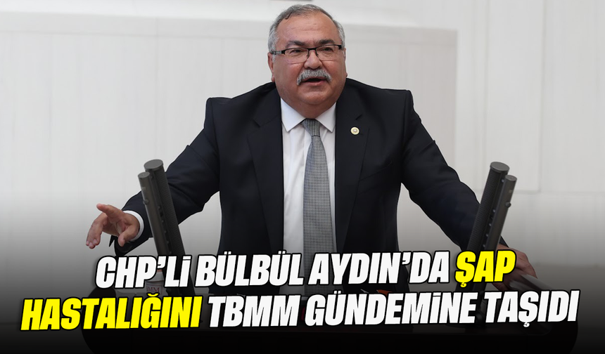 CHP’li Bülbül, Aydın’da şap hastalığını TBMM gündemine taşıdı