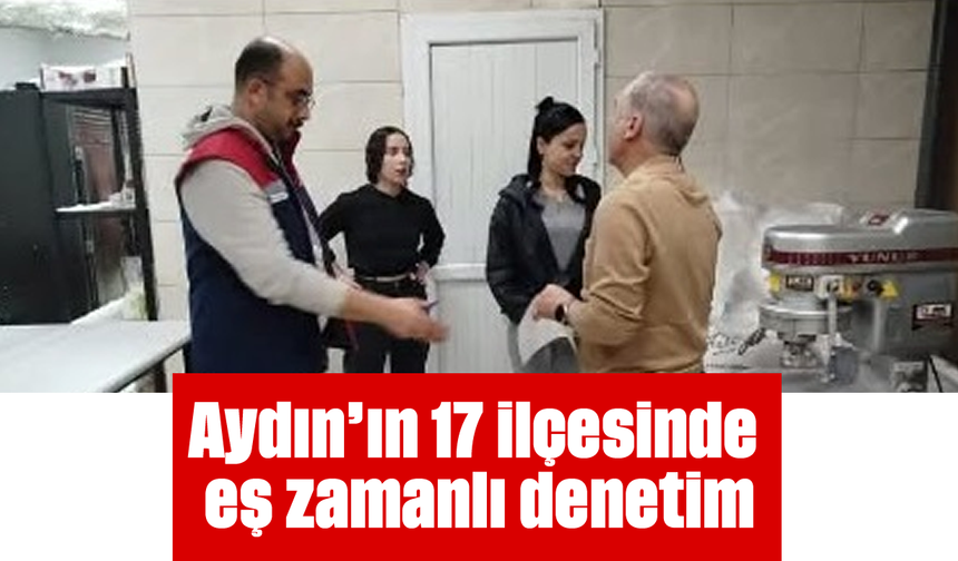 Aydın'ın 17 ilçesinde eş zamanlı denetim