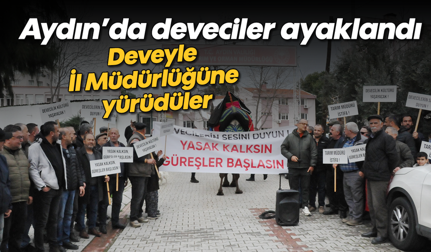 Aydın'da deveciler ayaklandı