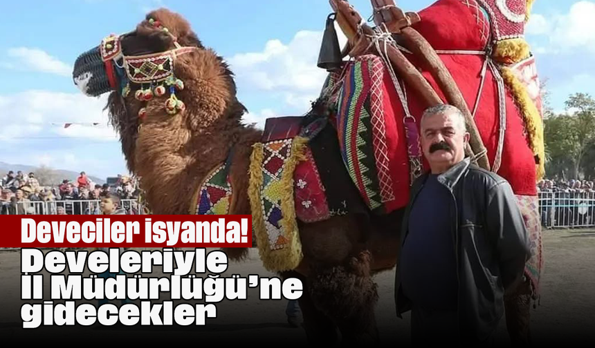 Deveciler isyanda! Develeriyle İl Müdürlüğü’ne gidecekler