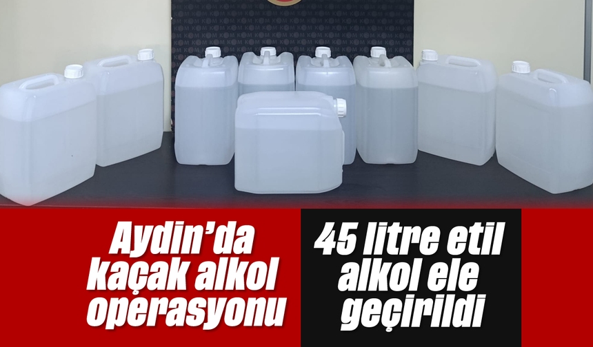Aydin'da kaçak alkol operasyonu: 45 litre etil alkol ele geçirildi