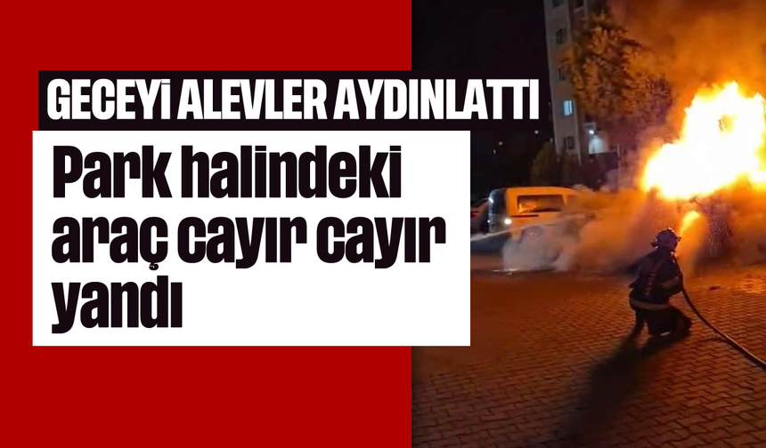 Park halindeki araç cayır cayır yandı