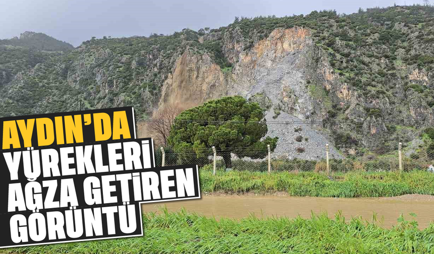 Aydın'da yürekleri ağza getiren görüntü