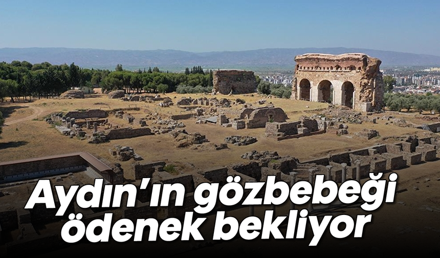 Aydın'ın gözbebeği ödenek bekliyor