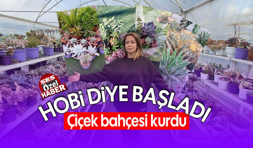 Hobi diye başladı, ‘Çiçek Bahçesi' kurdu