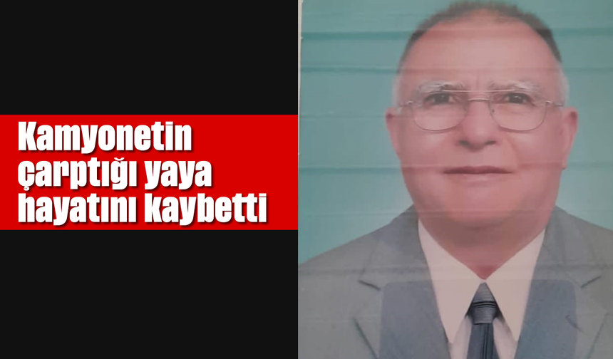 Kamyonetin çarptığı yaya hayatını kaybetti