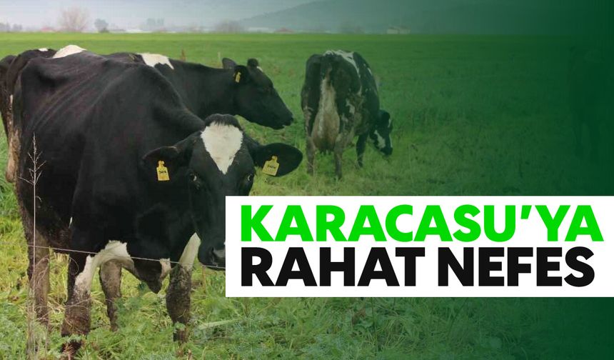 Karacasu'ya rahat nefes