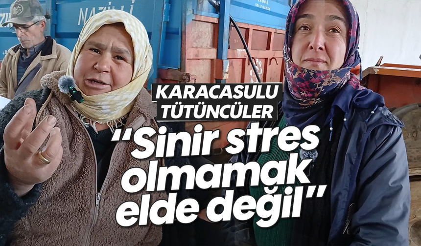 Karacasulu tütüncü: "Sinir stres olmamak elde değil"
