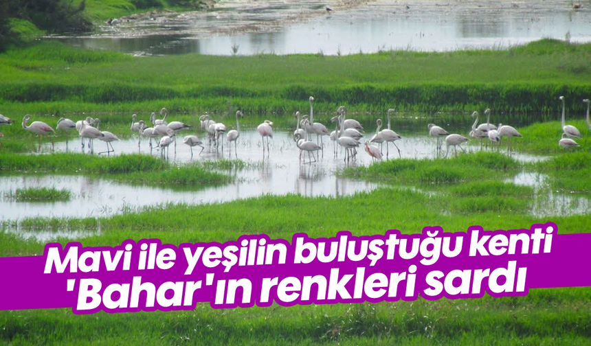 Mavi ile yeşilin buluştuğu kenti 'Bahar'ın renkleri sardı