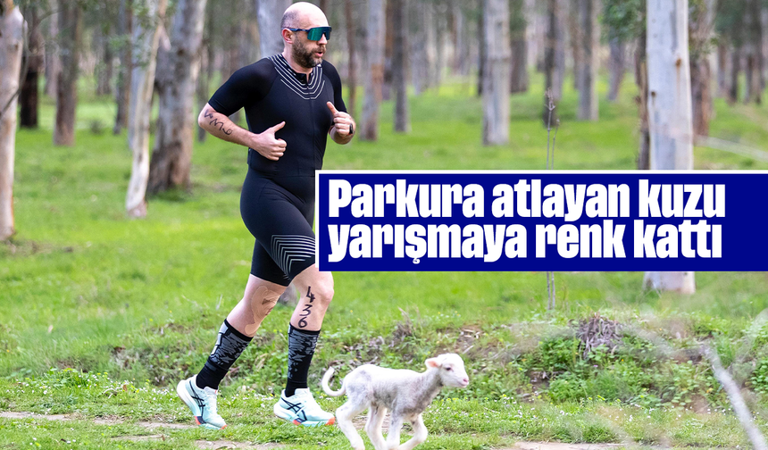 Parkura atlayan kuzu yarışmaya renk kattı