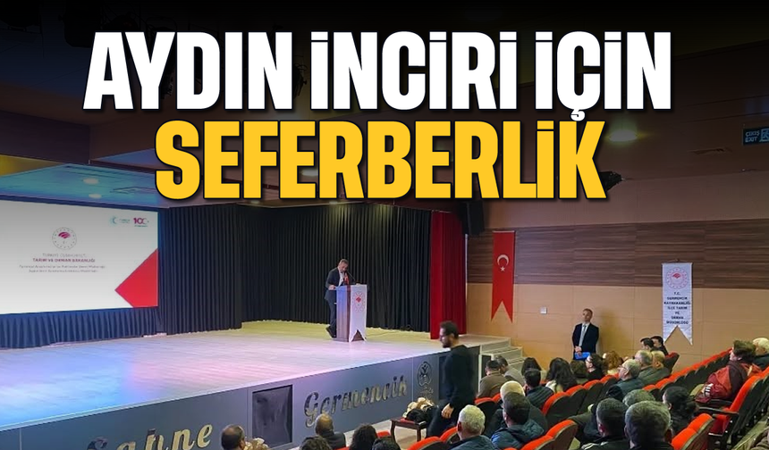 Aydın inciri için seferberlik