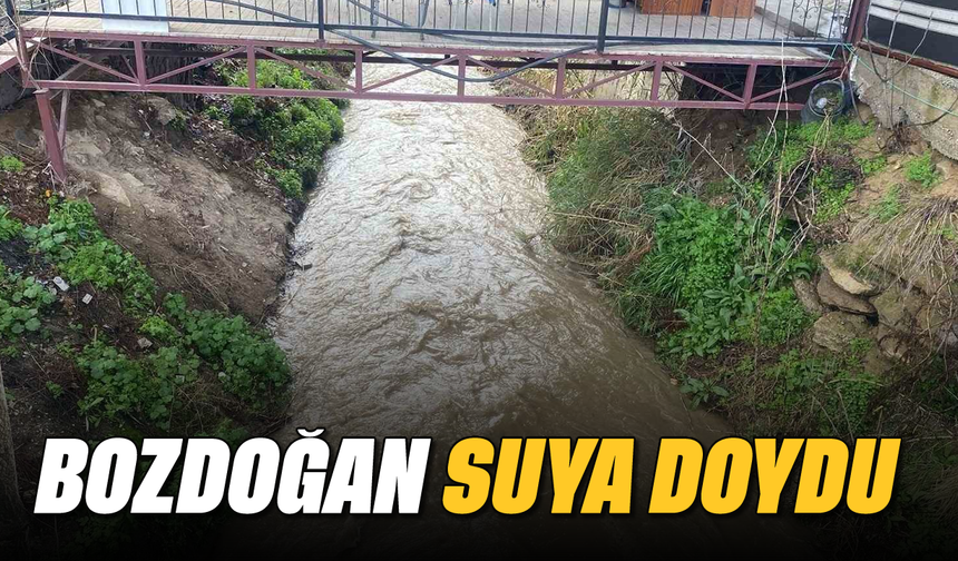 Bozdoğan suya doydu