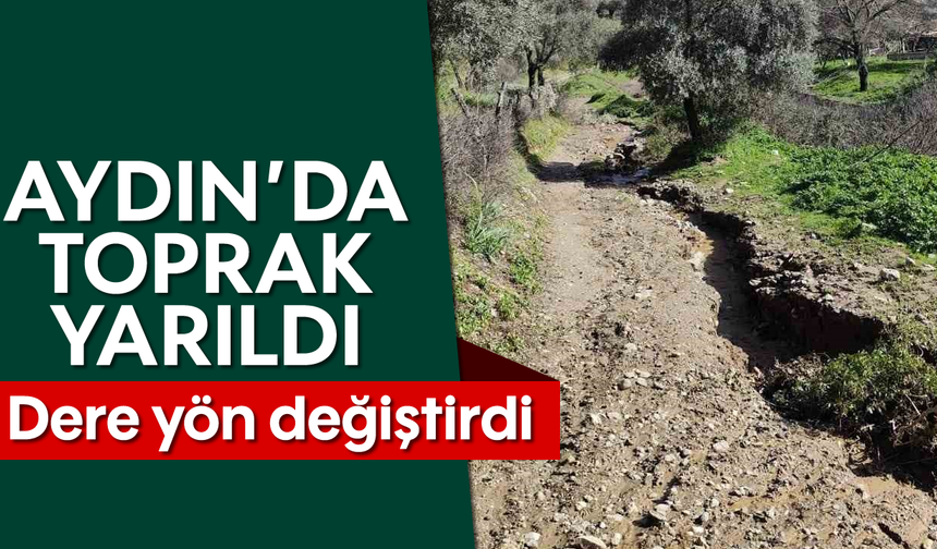 Aydın'da toprak yarıldı: Dere yön değiştirdi