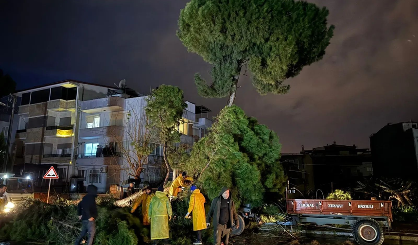 Nazilli’de feci iş kazası: Belediye personeli ağır yaralandı