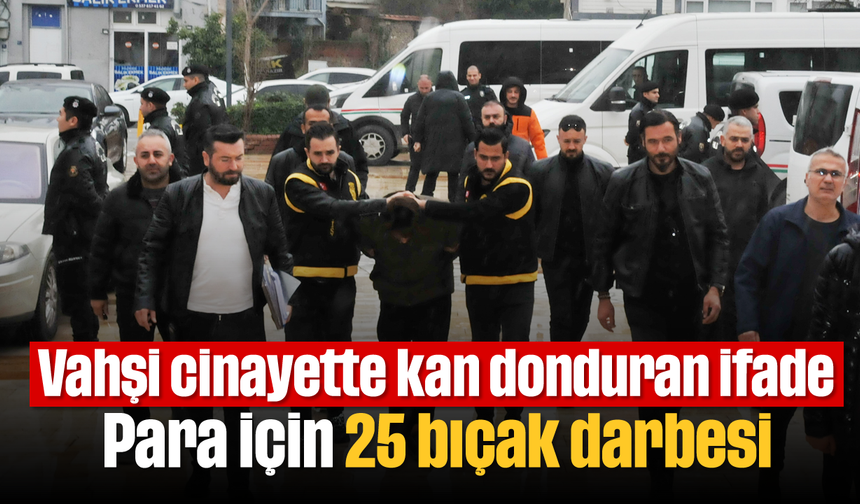 Vahşi cinayette kan donduran ifade: Para için 25 bıçak darbesi