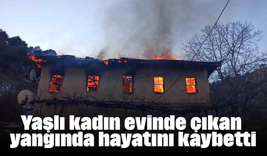 Yaşlı kadın evinde çıkan yangında hayatını kaybetti