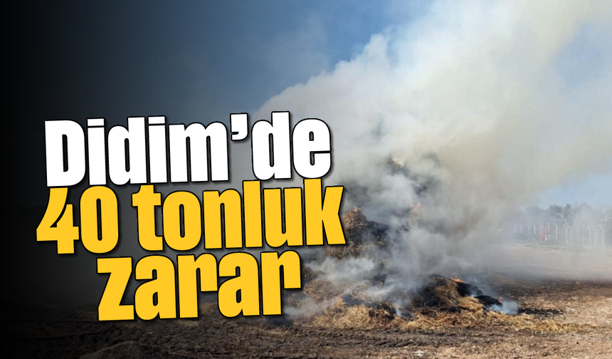 Didim'de 40 tonluk zarar